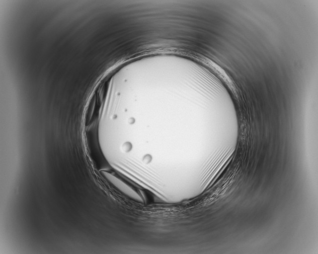X0000095931051200802081213