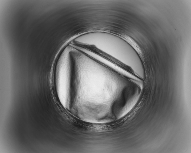 X0000095931052200802081213
