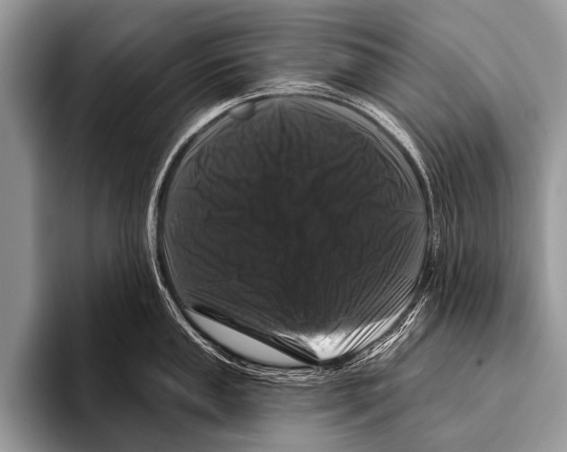 X0000095931053200802081213