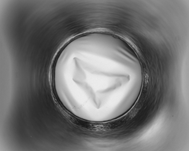 X0000095931054200802081213