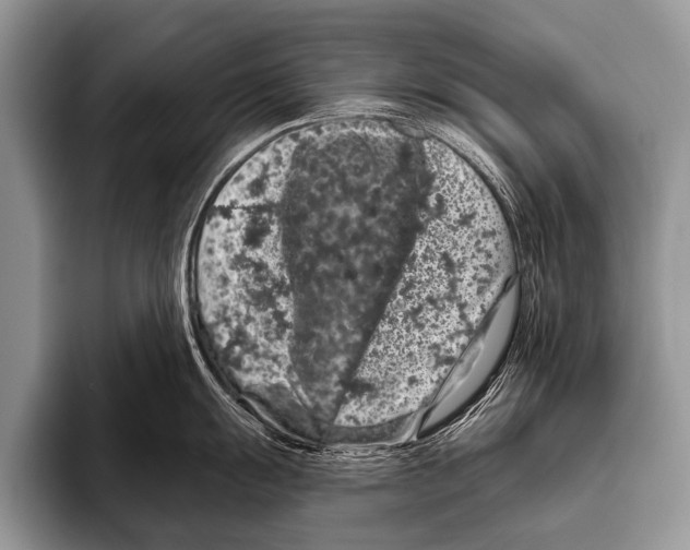 X0000095931055200802081213