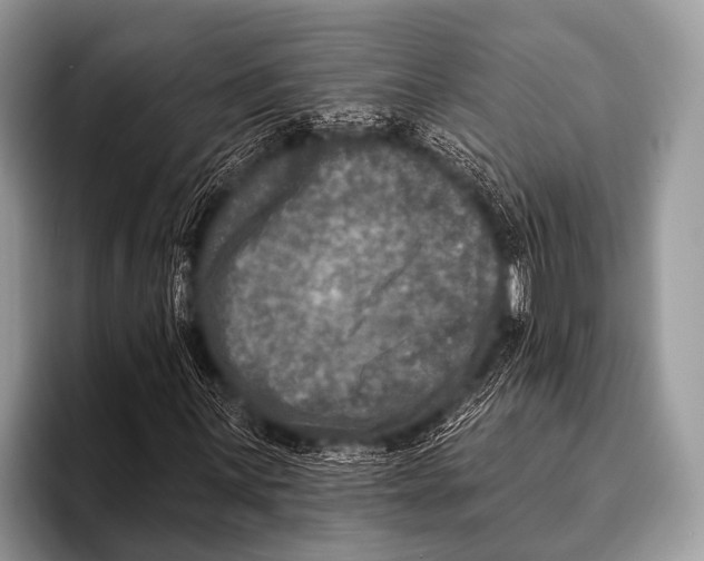 X0000095931059200802081212