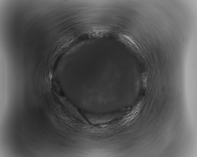 X0000095931060200802081212