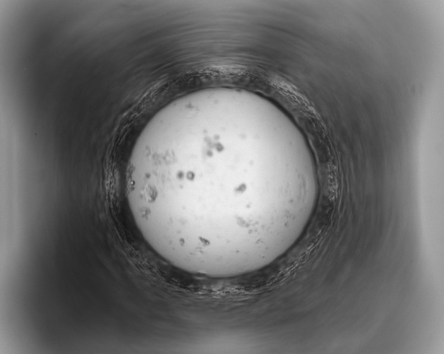 X0000095931061200802081212