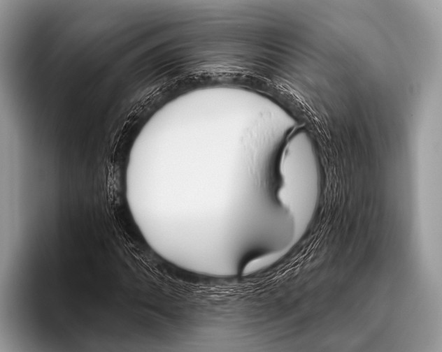 X0000095931062200802081212