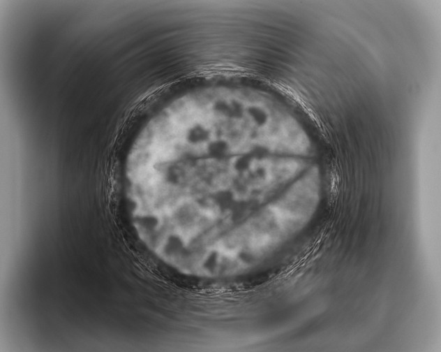 X0000095931063200802081212