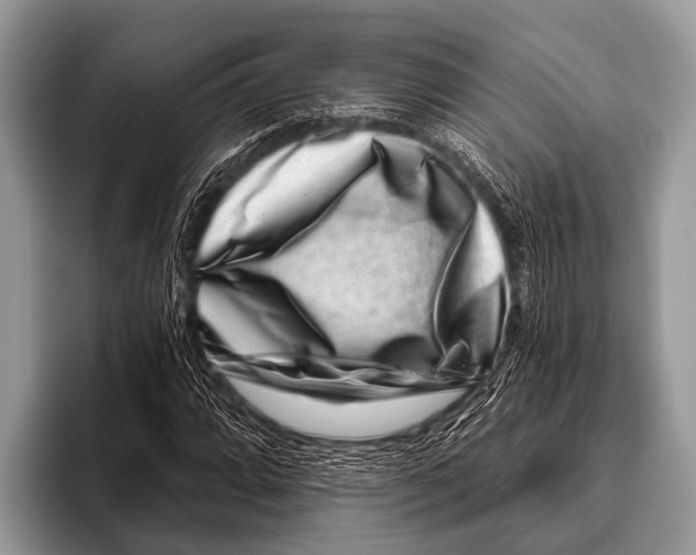 X0000095931064200802081212