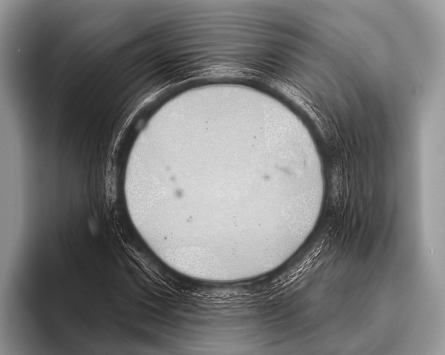 X0000095931067200802081212