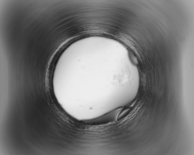 X0000095931068200802081212