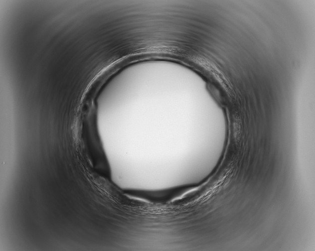 X0000095931069200802081212