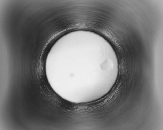 X0000095931070200802081212