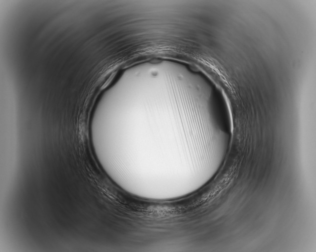 X0000095931073200802081212