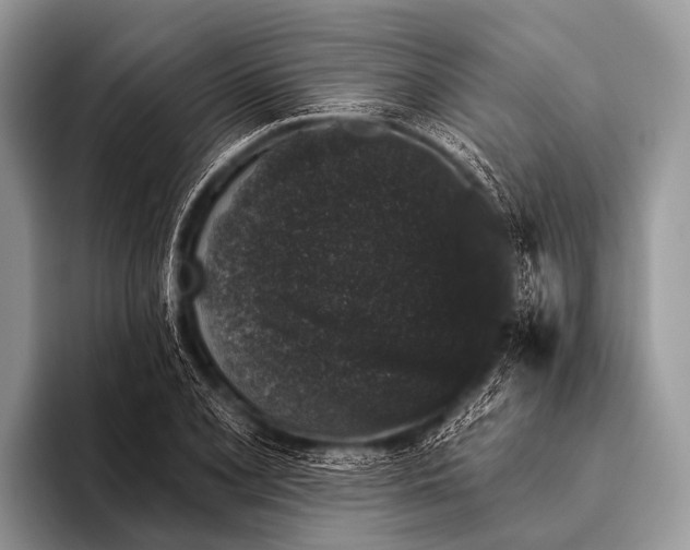 X0000095931077200802081212