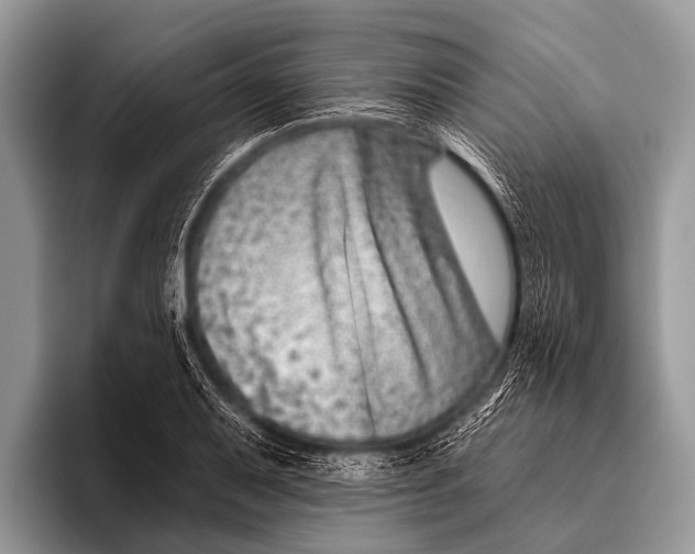 X0000095931079200802081212