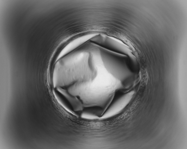 X0000095931080200802081212