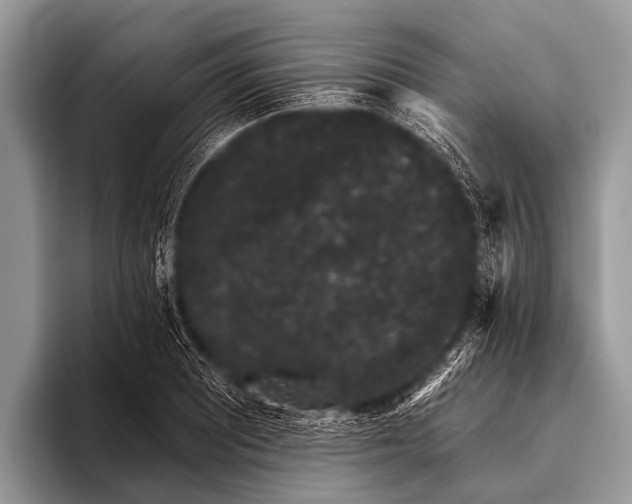 X0000095931081200802081212