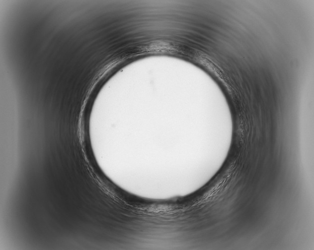 X0000095931082200802081212