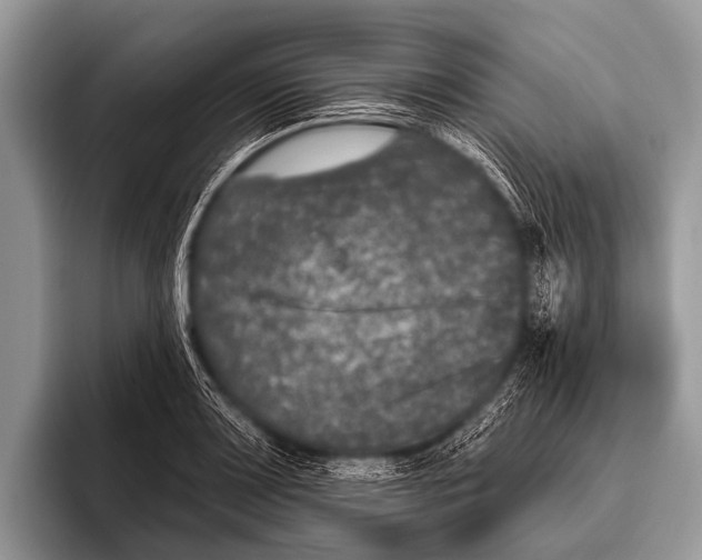 X0000095931083200802081212