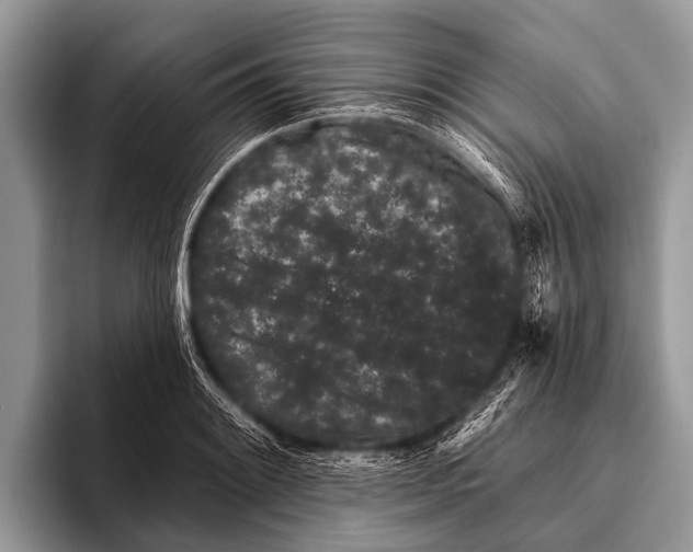 X0000095931084200802081212