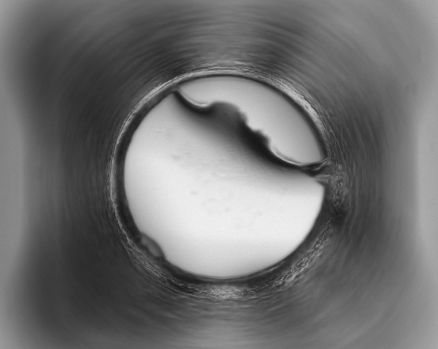 X0000095931085200802081212