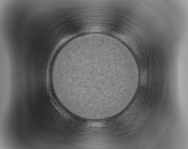 X0000095931086200802081212