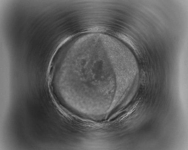 X0000095931087200802081212