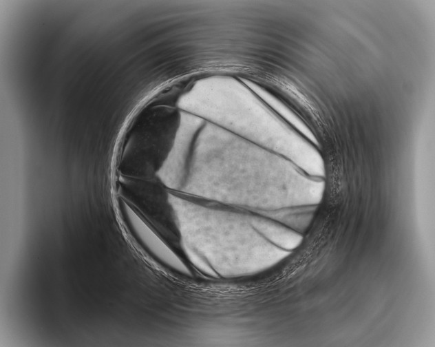 X0000095931088200802081212