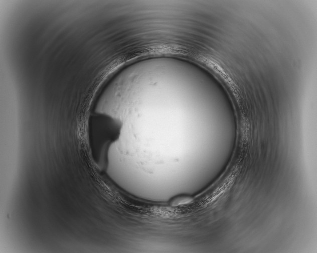 X0000095931089200802081212