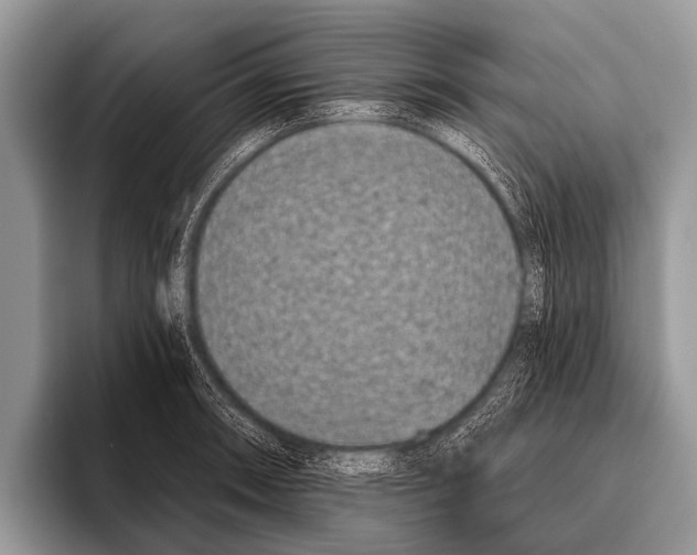 X0000095931090200802081212