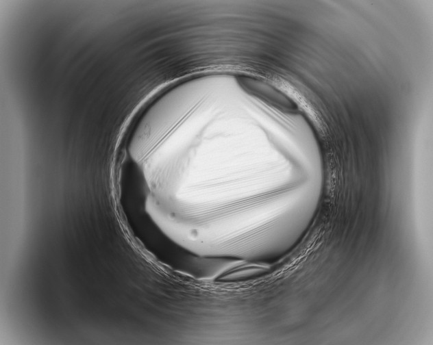 X0000095931092200802081212