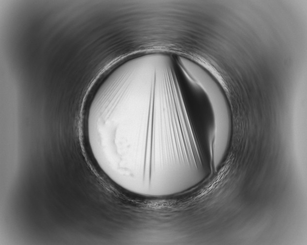 X0000095931093200802081211
