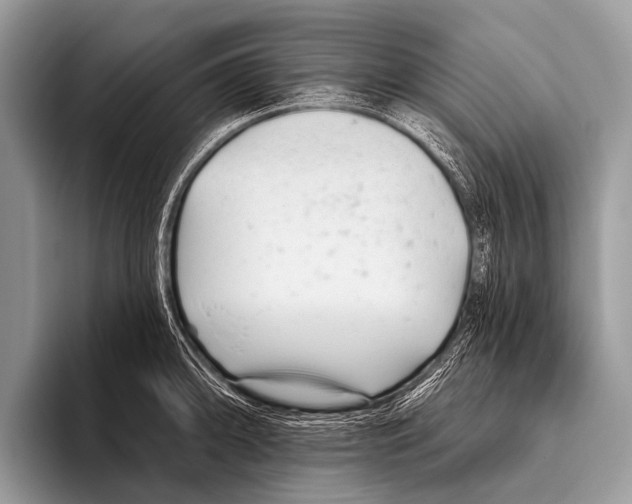 X0000095931094200802081211