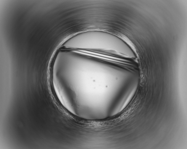 X0000095931096200802081211