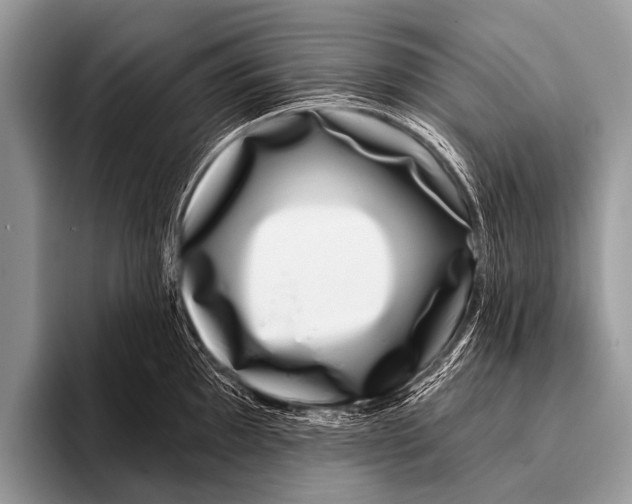 X0000095931097200802081211