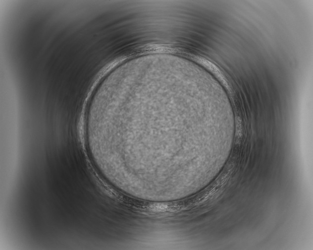 X0000095931098200802081211
