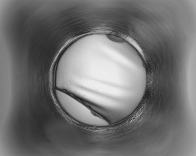 X0000095931099200802081211