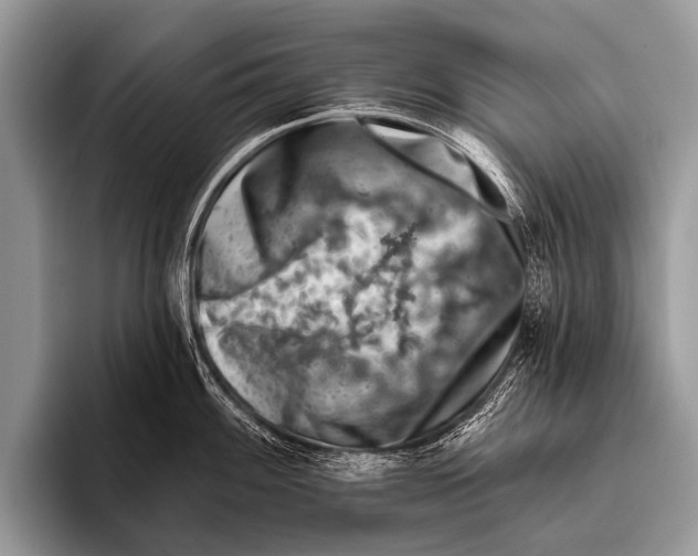 X0000095931100200802081211