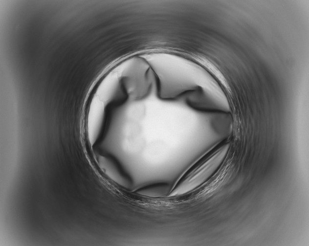 X0000095931101200802081211
