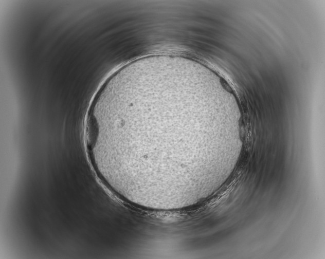 X0000095931103200802081211