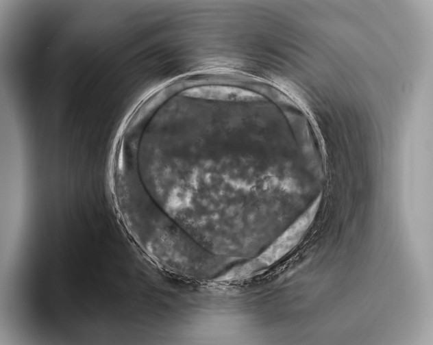 X0000095931104200802081211
