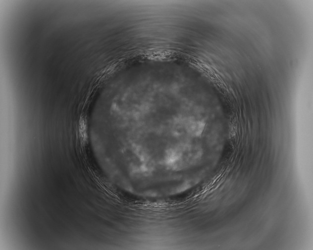 X0000095931106200802081211
