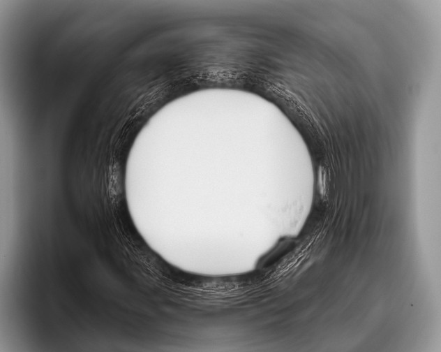 X0000095931107200802081211