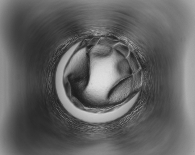 X0000095931110200802081211