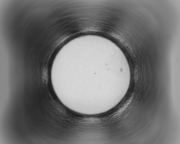 X0000095931113200802081211