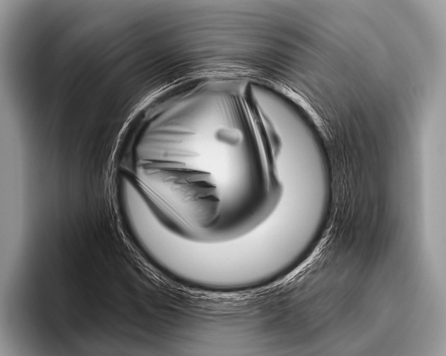 X0000095931114200802081211