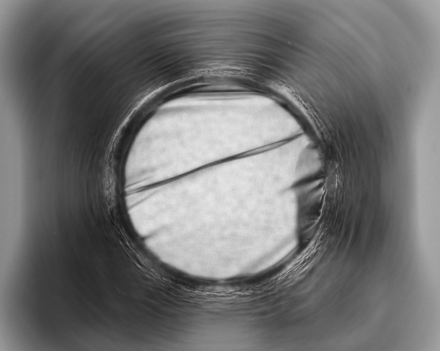 X0000095931115200802081211