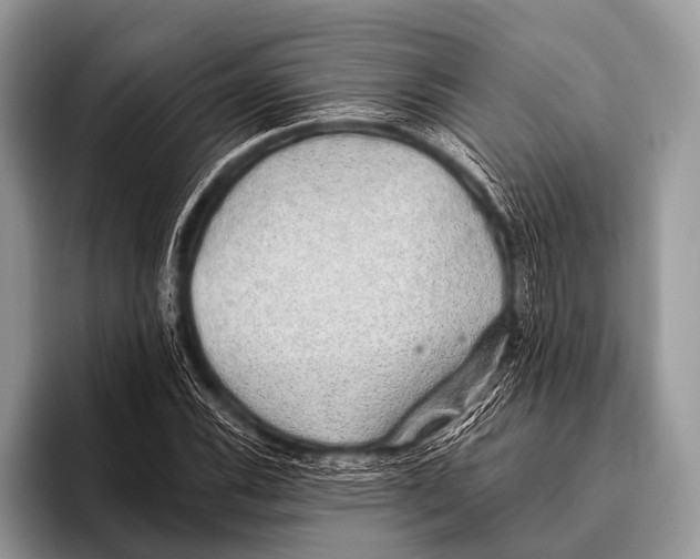 X0000095931116200802081211