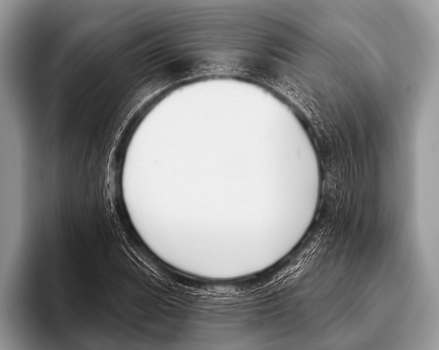 X0000095931119200802081211