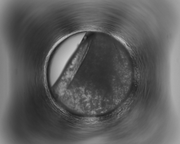 X0000095931120200802081211