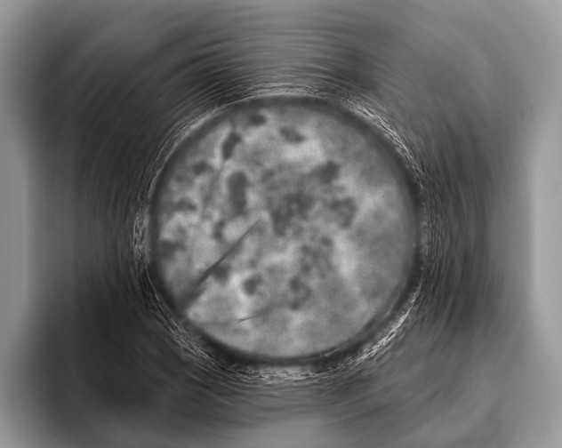 X0000095931121200802081211